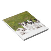 puppies-453532.jpg ノートパッド (アングル)