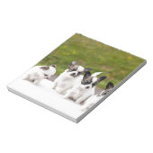 puppies-453532.jpg ノートパッド (回転)