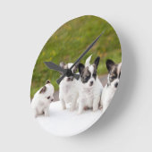 puppies-453532.jpg ラウンド壁時計 (傾斜)
