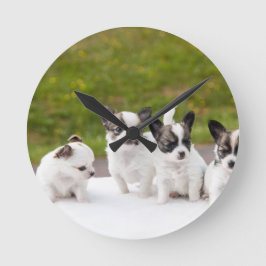 puppies-453532.jpg ラウンド壁時計
