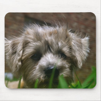 Pupppyのマウスパッド マウスパッド