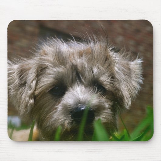 Pupppyのマウスパッド マウスパッド (正面)