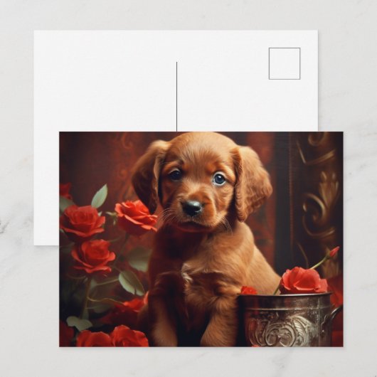 Puppy ポストカード (正面/裏面)