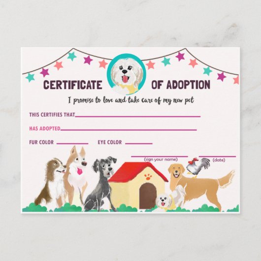 Puppy Adoption Certificate for a Pet Invitation Po インビテーションポストカード (正面)