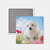 Puppy Angel マグネット (正面/裏面)