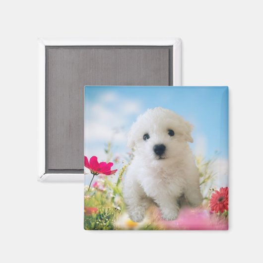 Puppy Angel マグネット (正面/裏面)