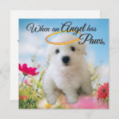 Puppy Angel Flat Card (正面/裏面)