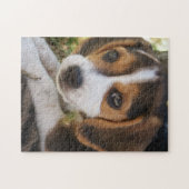 Puppy Dog Beagle ジグソーパズル (横)