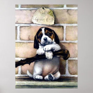 Puppy dog for sale cute vintage illustration ポスター