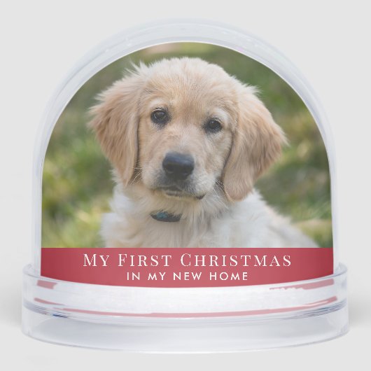 Puppy First Christmas Photo (正面)