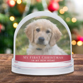 Puppy First Christmas Photo