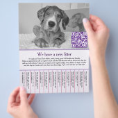 puppy flyers チラシ (手)