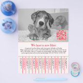 puppy flyers red チラシ (シングル)