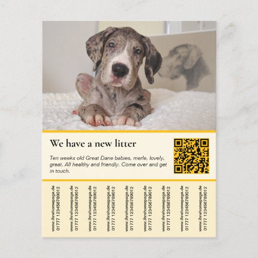 puppy for sale flyer templates チラシ (正面)