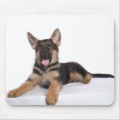 puppy German shepherd マウスパッド (正面)