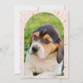 Puppy Graduation Announcement and Invitation Card 招待状 (裏面)