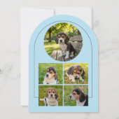 Puppy Graduation Pet Photos Baby Blue & Navy 招待状 (裏面)
