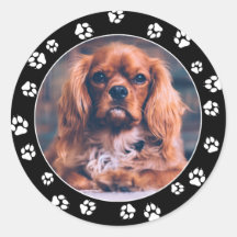 Puppy Instagram写真ホワイト・ポー印刷スタンプ