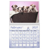 puppy-lab-HD-壁紙、EUR YEAR    "2011" カレンダー (2月 2027)