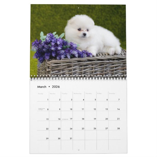 Puppy Love Calendar カレンダー (3月 2026)