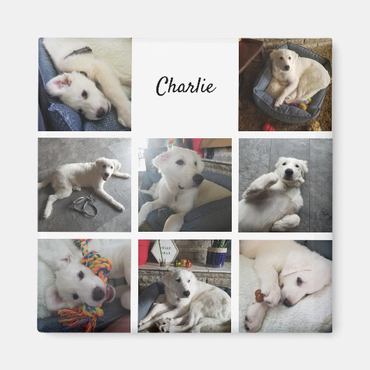Puppy Photo Collage Cute Pet マグネット (正面)