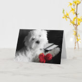 Puppy Play カード (黄色い花)