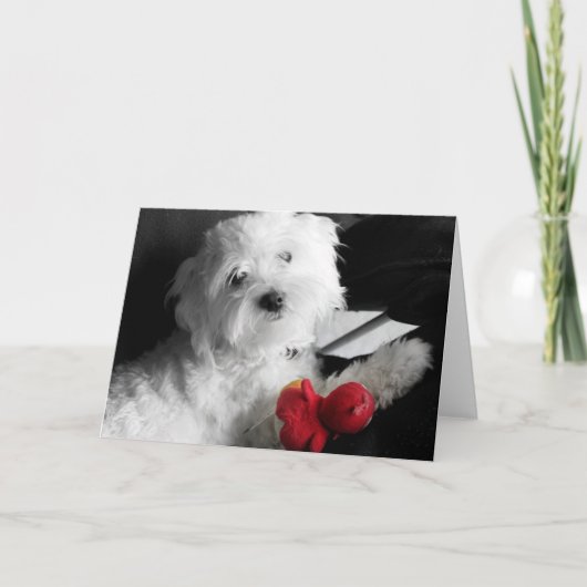 Puppy Play カード (正面)