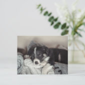 Puppy sleeping Holiday Postcard シーズンポストカード (スタンド正面)