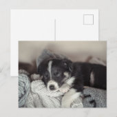Puppy sleeping Holiday Postcard シーズンポストカード (正面/裏面)