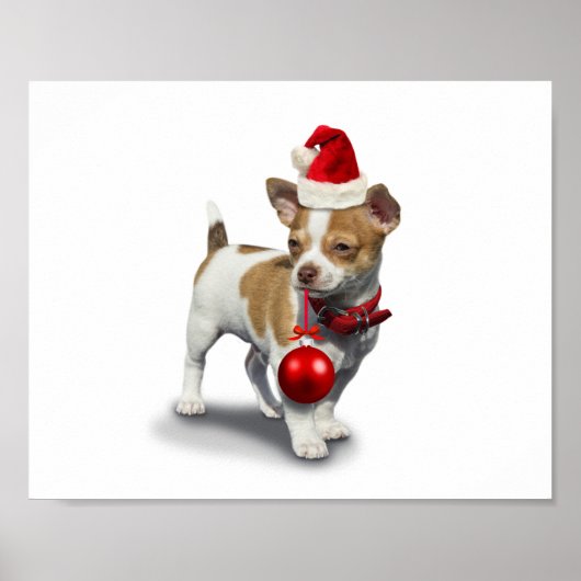 Puppy with christmas hat and Ball ポスター (正面)