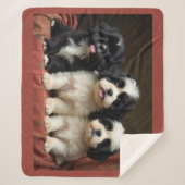 Puppy's  シェルパブランケット (正面)