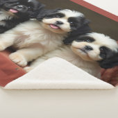 Puppy's  シェルパブランケット (3/4)