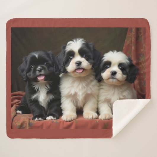 Puppy's  シェルパブランケット (正面(横))