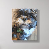 Puppy's First Turkey Day Canvas Print キャンバスプリント (正面)
