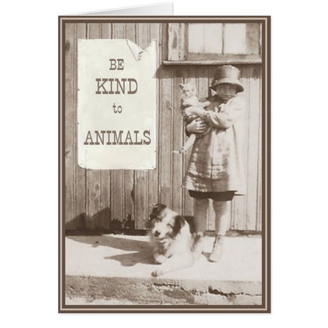 PUPsカード猫ちゃん10 (正面)