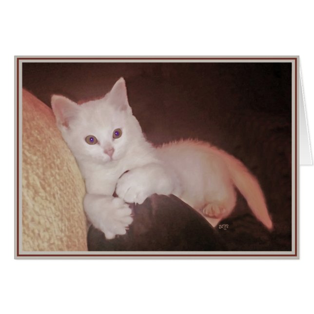 PUPsカード猫ちゃん14 (正面横)