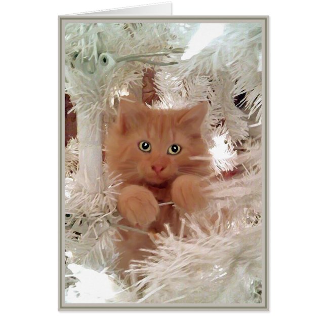 PUPsカード猫ちゃん16 (正面)