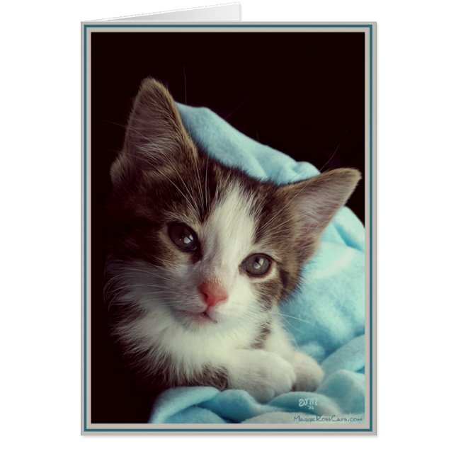 PUPsカード猫ちゃん6 (正面)