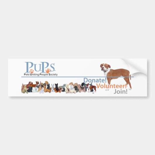 PUPsロゴグッズ バンパーステッカー (正面)