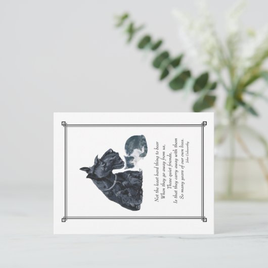 PUPs共感書 ポストカード (スタンド正面)