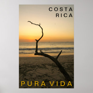PURA VIDA プラヤ・フラミンコ ポスター