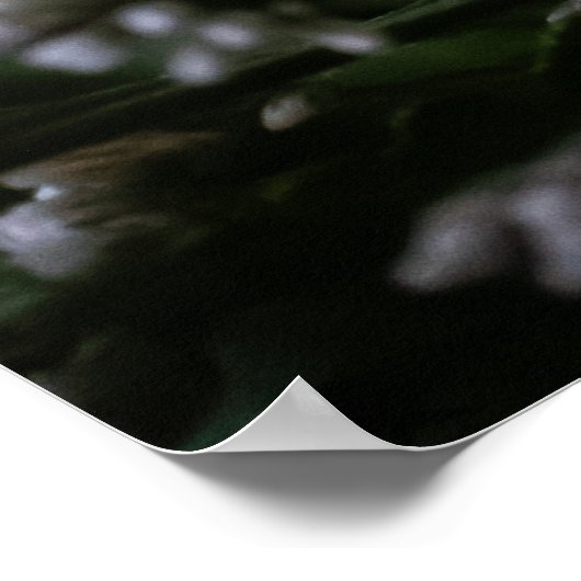 Pure ポスター (角)