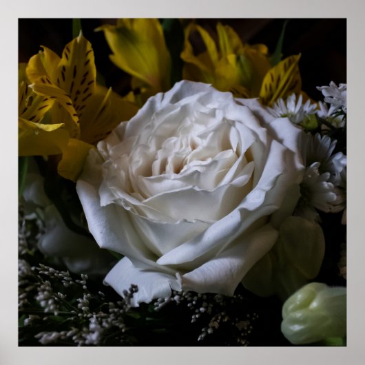 Pure ポスター (正面)