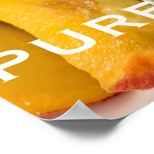 PURE NECTAR ポスター (角)