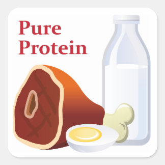 Pure Proteinデイステッカー スクエアシール