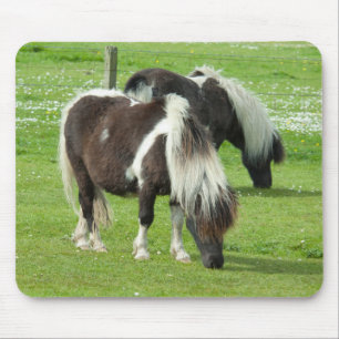 Purebred Shetland Paint Ponies マウスパッド