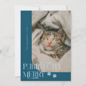 Purfecly Cat写真メリーティール（緑がかった色）クリスマス シーズンカード (正面)