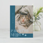 Purfecly Cat写真メリーティール（緑がかった色）クリスマス シーズンカード (スタンド正面)