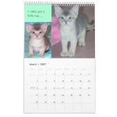 Purfect Cat Calendar -任カスタマイズ意の月と年 カレンダー (3月 2027)