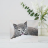 Purfect Tongue Out Cat水平はがき ポストカード (スタンド正面)